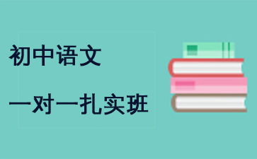 瑞友教育初中语文一对一扎实课程